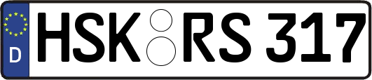 HSK-RS317