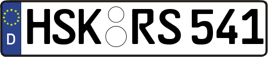 HSK-RS541