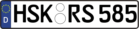 HSK-RS585
