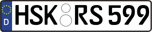 HSK-RS599
