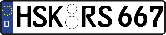 HSK-RS667