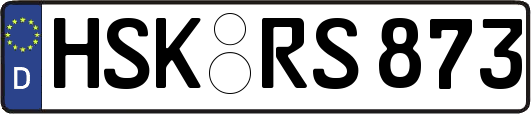 HSK-RS873