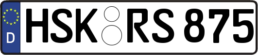 HSK-RS875