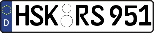 HSK-RS951