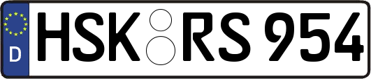 HSK-RS954