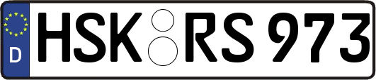 HSK-RS973