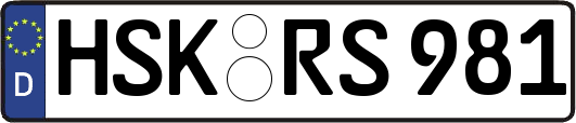 HSK-RS981