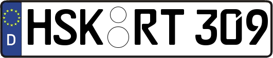 HSK-RT309