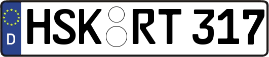 HSK-RT317