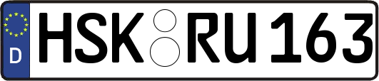 HSK-RU163