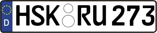 HSK-RU273