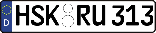 HSK-RU313