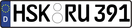 HSK-RU391