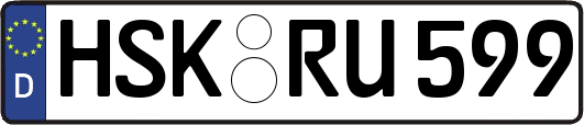 HSK-RU599