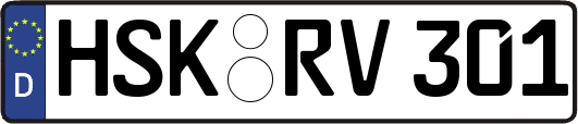 HSK-RV301