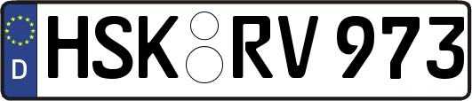 HSK-RV973