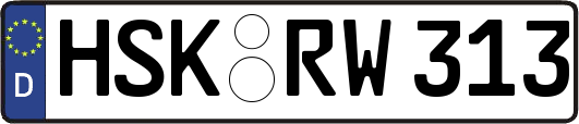 HSK-RW313