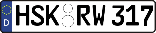 HSK-RW317