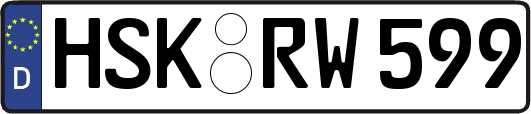 HSK-RW599