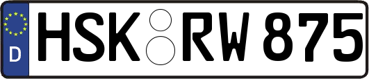 HSK-RW875