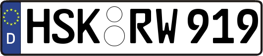 HSK-RW919