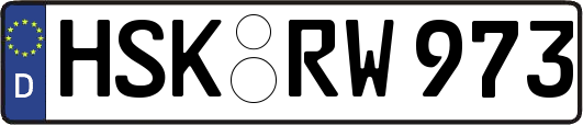 HSK-RW973