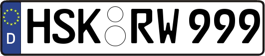 HSK-RW999
