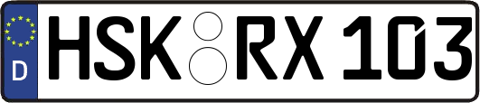 HSK-RX103