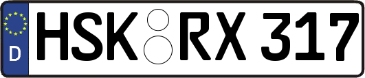 HSK-RX317