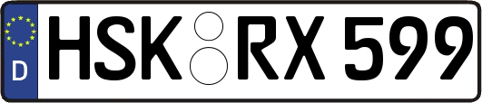 HSK-RX599
