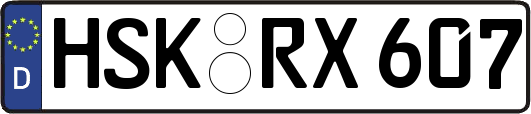 HSK-RX607