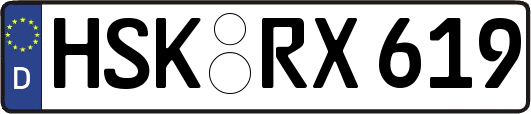 HSK-RX619