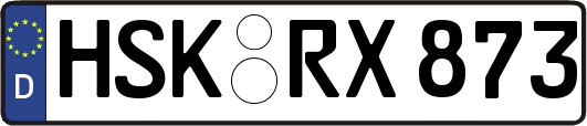HSK-RX873