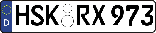 HSK-RX973