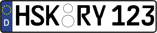 HSK-RY123