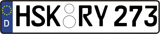 HSK-RY273
