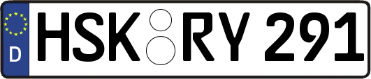 HSK-RY291