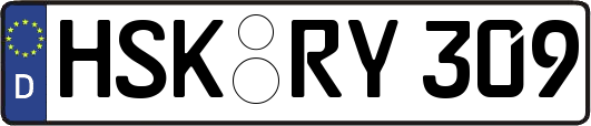 HSK-RY309