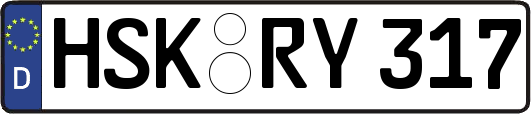 HSK-RY317