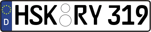 HSK-RY319