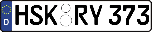 HSK-RY373
