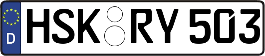 HSK-RY503