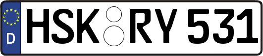 HSK-RY531
