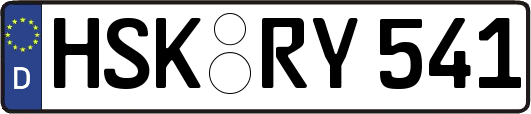 HSK-RY541