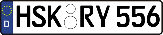 HSK-RY556