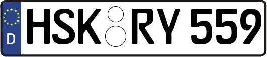 HSK-RY559