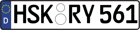 HSK-RY561