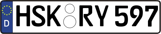 HSK-RY597