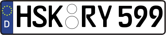 HSK-RY599