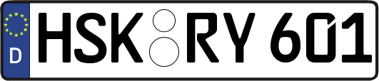 HSK-RY601